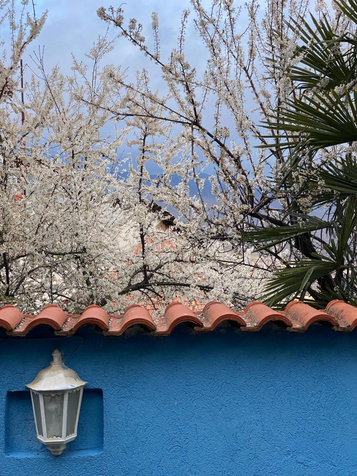 Blue Orange Lake Hostel Ohrid Exterior foto